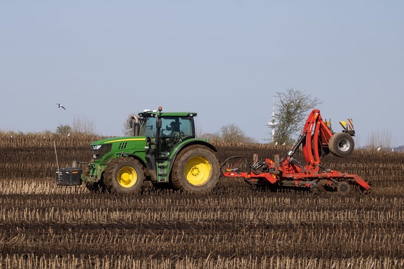 Fertilizing Advice