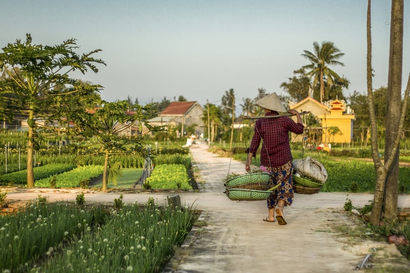 Local Garden Tours