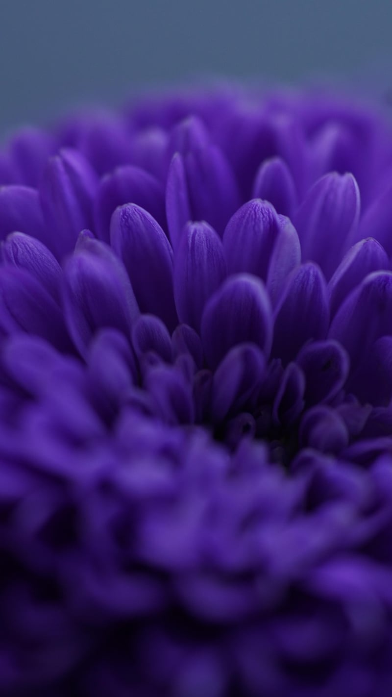 Horticulture Consulting